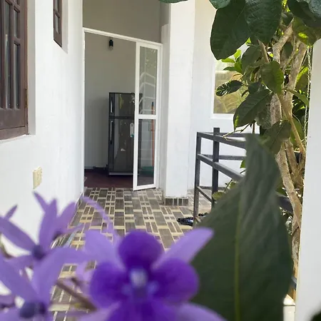 Ferienwohnung Noahs Ark Oceanscape Mirissa Exterior foto
